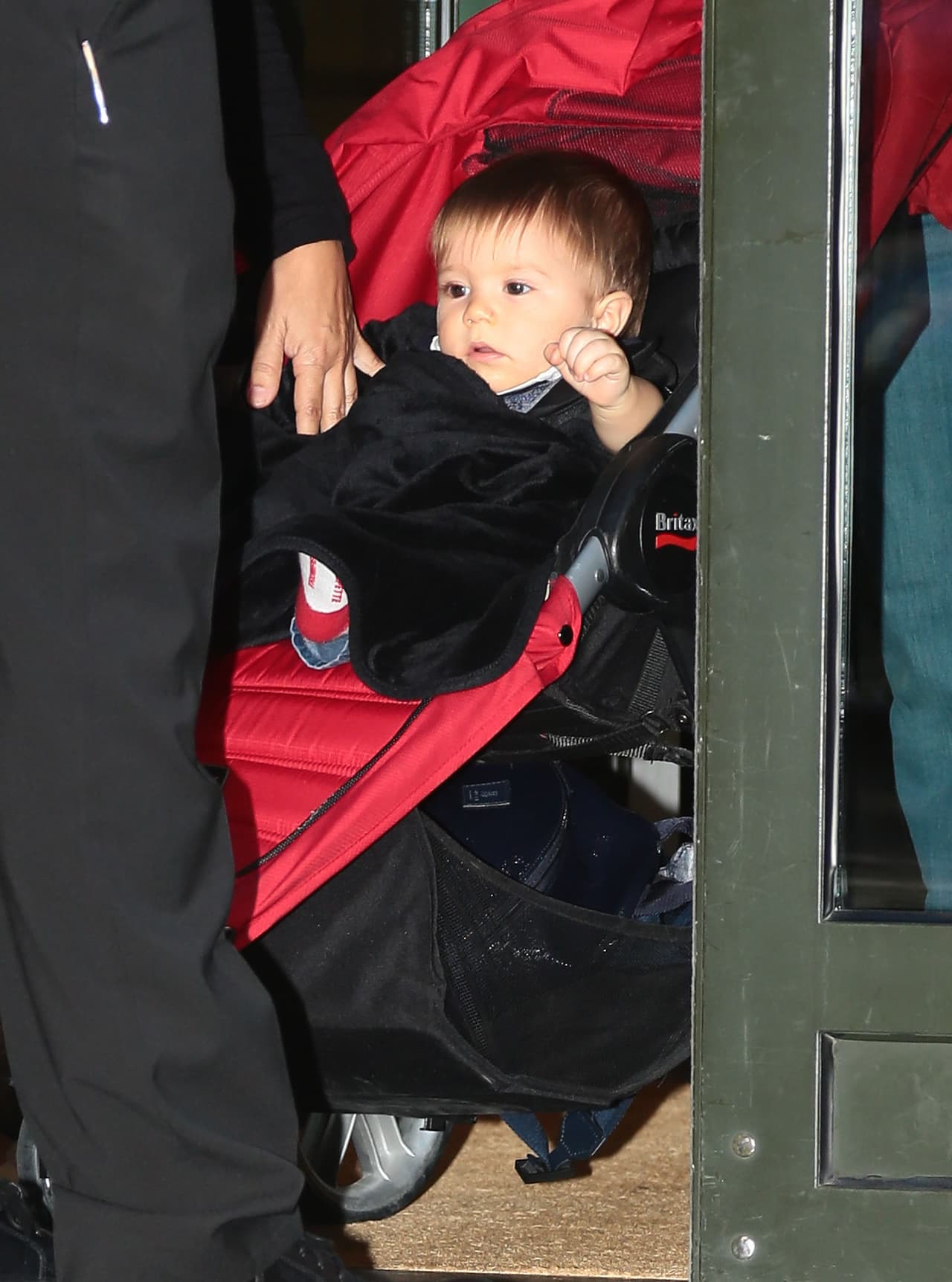 Sasha listo para otro paseo.