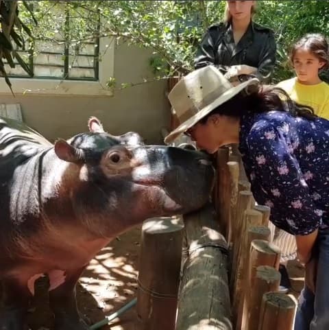 "¿Quién dijo que no se puede besar a un hipópotamo?", escribió la actriz mexicana en su cuenta de Instagram.