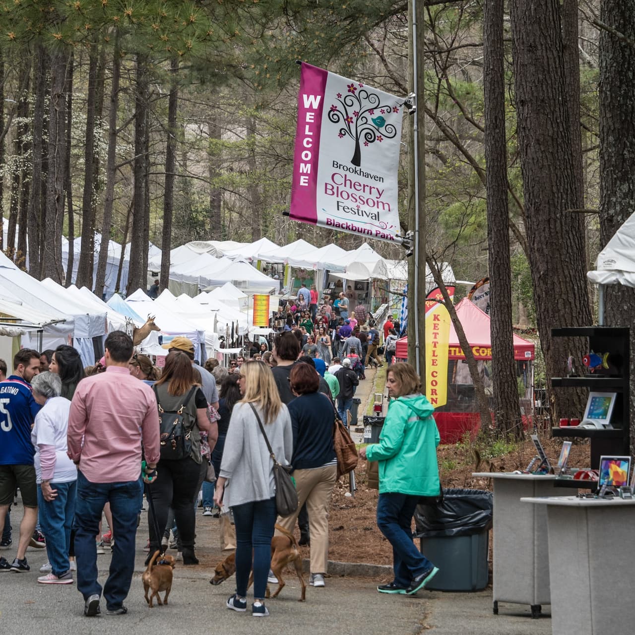 La entrada al festival del 23 al 24 de marzo de 2024 es gratuita.