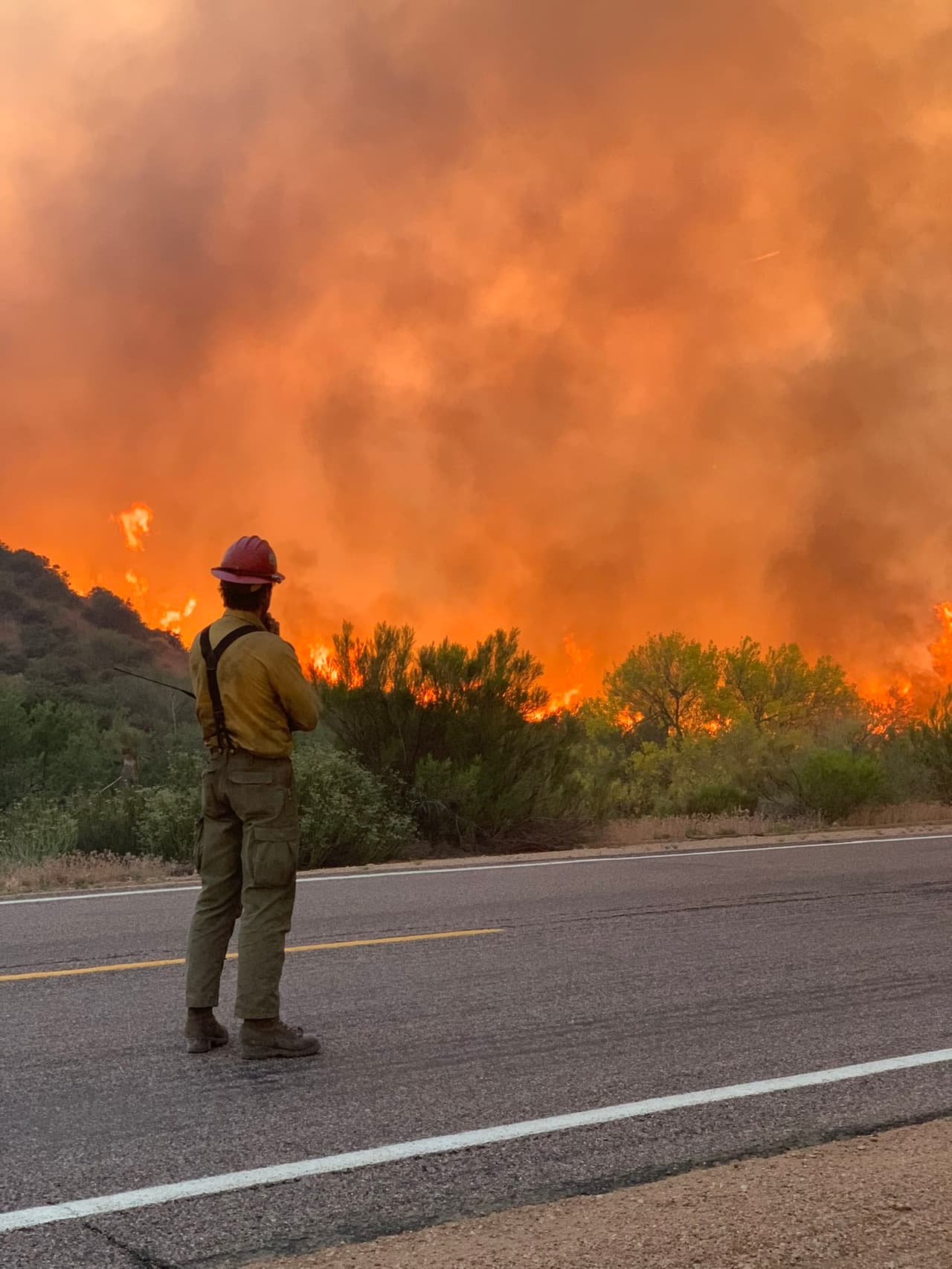 Incendio forestal Wildcat Fire consume más de 14 mil hectáreas en el Bosque Nacional Tonto.