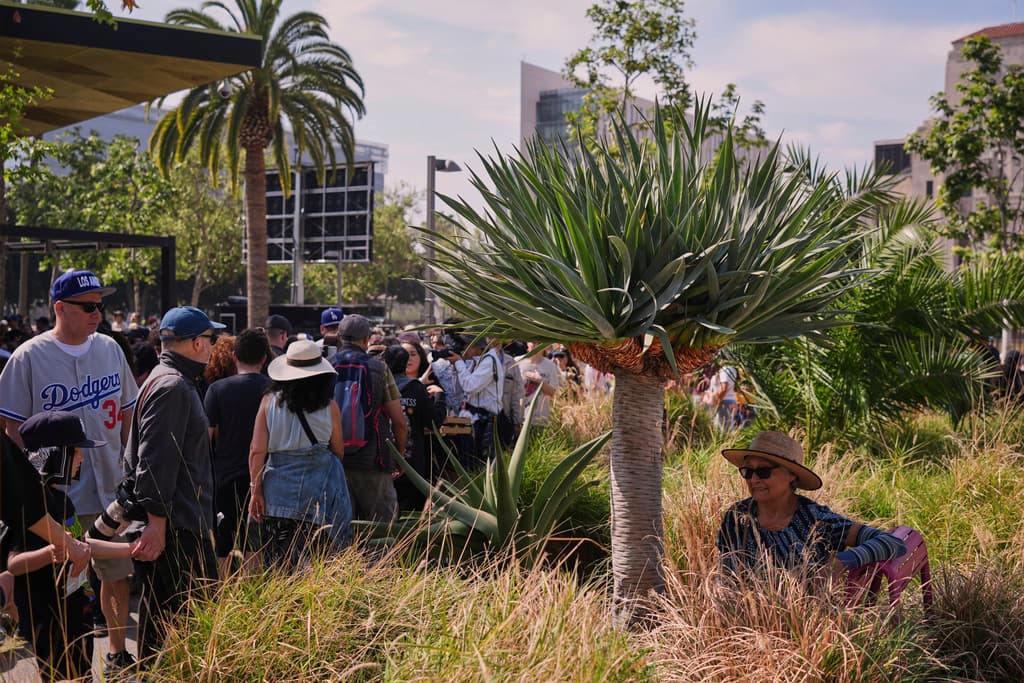 Bajo una pequeña sombra, Iris Vásquez Caicedo escuchó los discursos contra la administración de Trump en Los Ángeles. Había demasiada gente y mucho calor, lo que podía provocar un desmayo o cualquier otra situación que evitó.