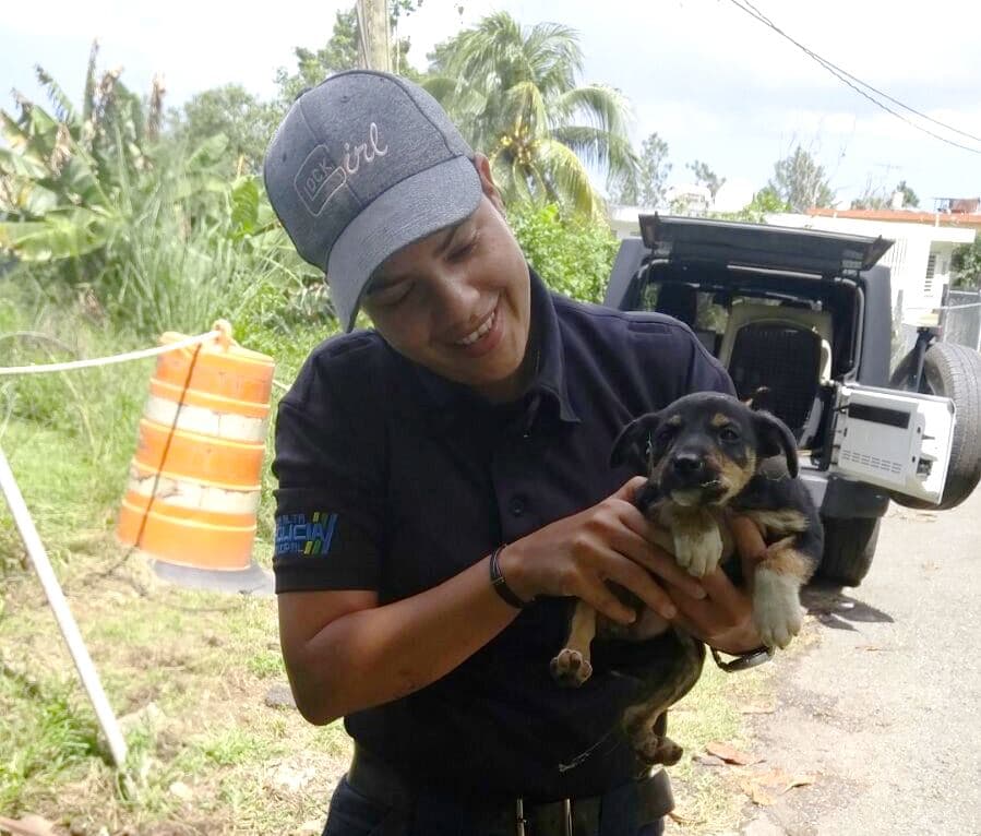 Policía rescata a perrito atrapado en un túnel de drenaje en Toa Alta