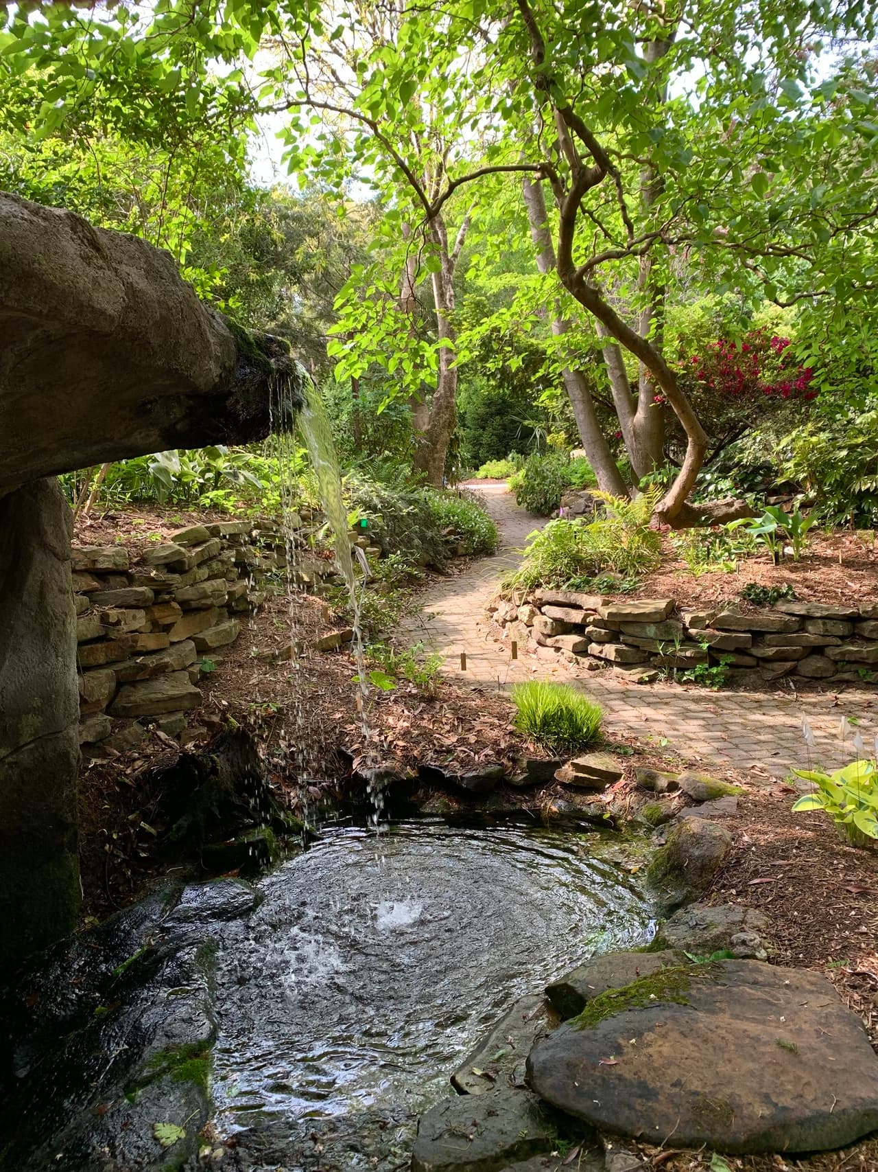 <b>Evento</b>: Open Garden Days at Juniper Level Botanic Garden
<br>
<b>Fechas</b>: 14 al 16 y 21 al 23 de julio 
<br>
<b>Lugar</b>: Juniper Level Botanic Garden. 9241 Sauls Rd., Juniper Level Botanic Garden. Raleigh, NC
<br>
<b>Sitio web</b>: 
<a href="https://www.juniperlevelbotanicgarden.org/">https://www.juniperlevelbotanicgarden.org/</a> 
<br>
<br>Uno de los jardines más espectaculares de Estados Unidos está abierto al público sólo pocos fines de semana al año. Ubicado a 12 millas al sur del centro de Raleigh, el Jardín Botánico Juniper Level es un campus de 28 acres que exhibe más de 27,000 tipos diferentes de plantas perennes nativas, plantas exóticas, delicias raras y especímenes inusuales de árboles y arbustos que no se encuentran en muchos (o ningún) otro lugar en tierra.
