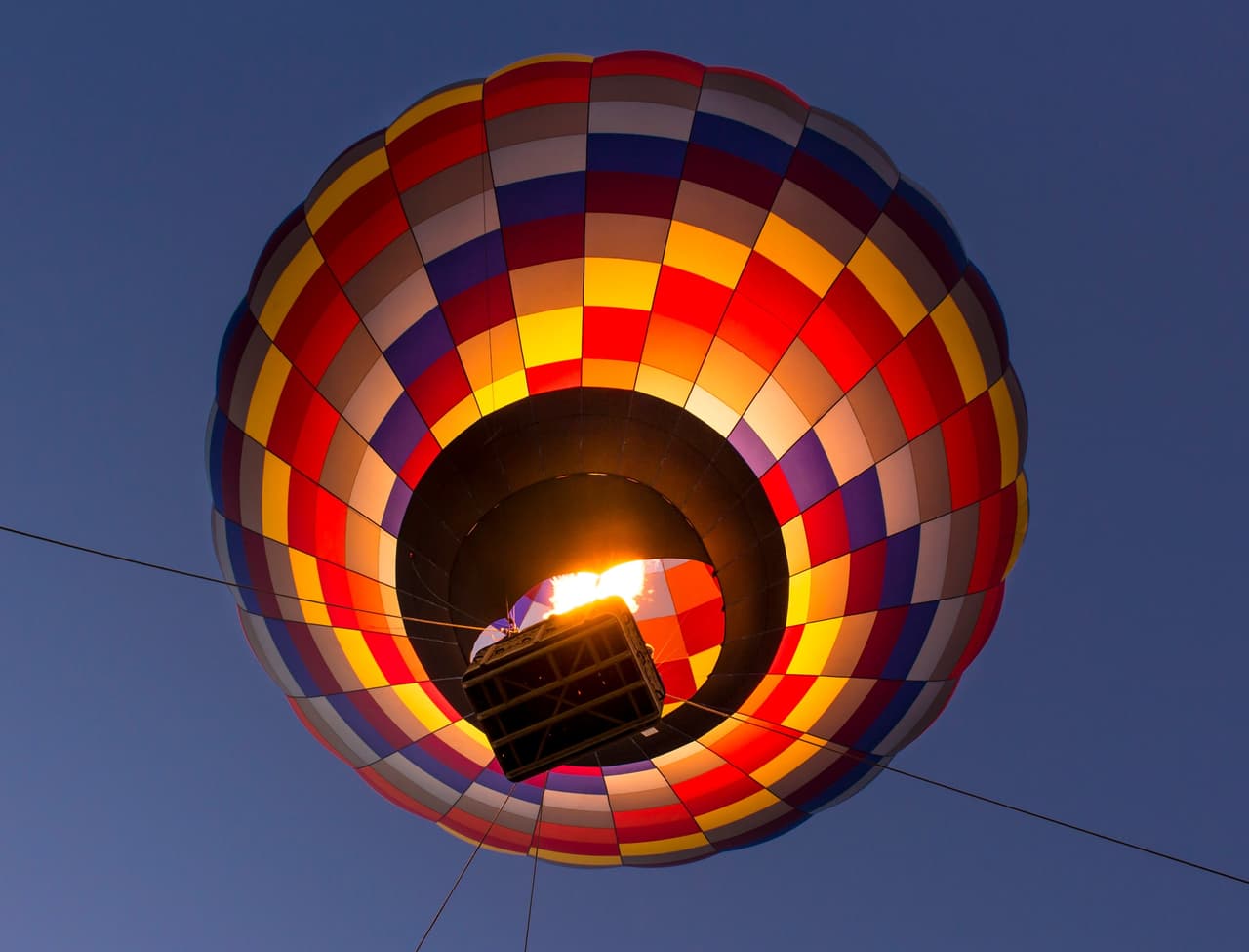 En el lugar también contarán con una variedad de entretenimiento como música en vivo y comida.
<br>