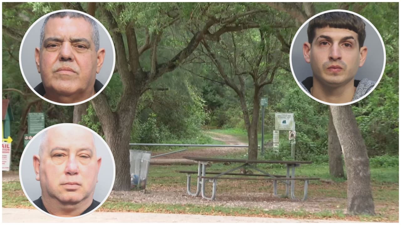 “Asqueroso”: preocupación entre visitantes de parque Amelia Earhart tras arrestos