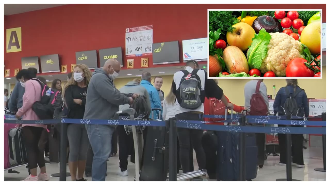 Cuba prohíbe la importación de plantas y productos vegetales para prevenir plagas