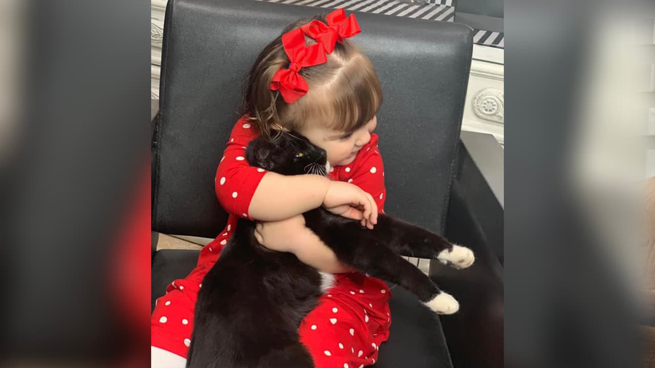 Muchos seguidores compartieron las fotos de sus mascotas en nuestras redes sociales.