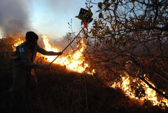 El gobierno de Brasilia instauró el estado de emergencia en la capital brasileña para combatir los incendios como el que consumió esta semana una cuarta parte de la superficie de un parque nacional.