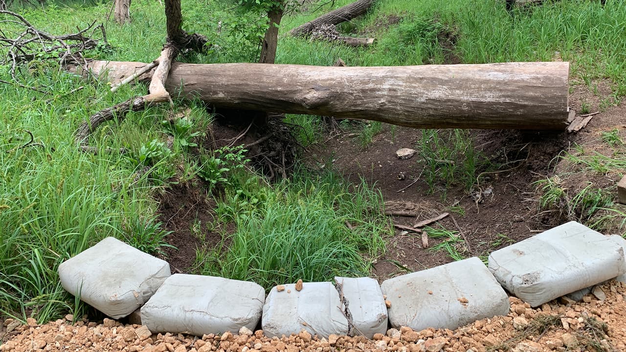 Los adultos pagan $5.00 y niños menores de 12 años entran gratis.