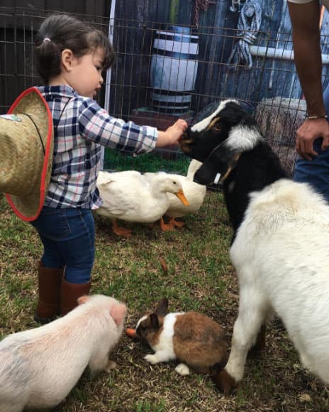 Giulietta alimentando a sus nuevos amigos de la granja.