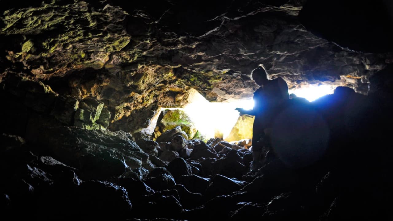 Conoce
<b><a href="https://www.univision.com/local/arizona-ktvw/lava-river-cave-una-maravilla-volcanica-en-medio-de-un-bosque-en-el-condado-coconino-ebarizona-fotos">Lava River Cave</a></b>, una maravilla volcánica en medio de un bosque al norte de Arizona. Esta cueva fue descubierta por trabajadores madereros en 1915 y es considerada la más larga de su tipo en Arizona. Hoy en día cientos de personas vienen a disfrutar de
<a href="https://www.fs.usda.gov/recarea/coconino/recarea/?recid=55122&actid=102" target="_blank">la historia geológica de este lugar. </a>
<br>