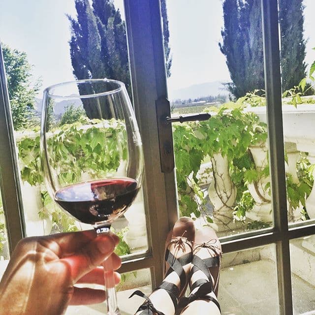 No pudo faltar un buen vinito chileno.