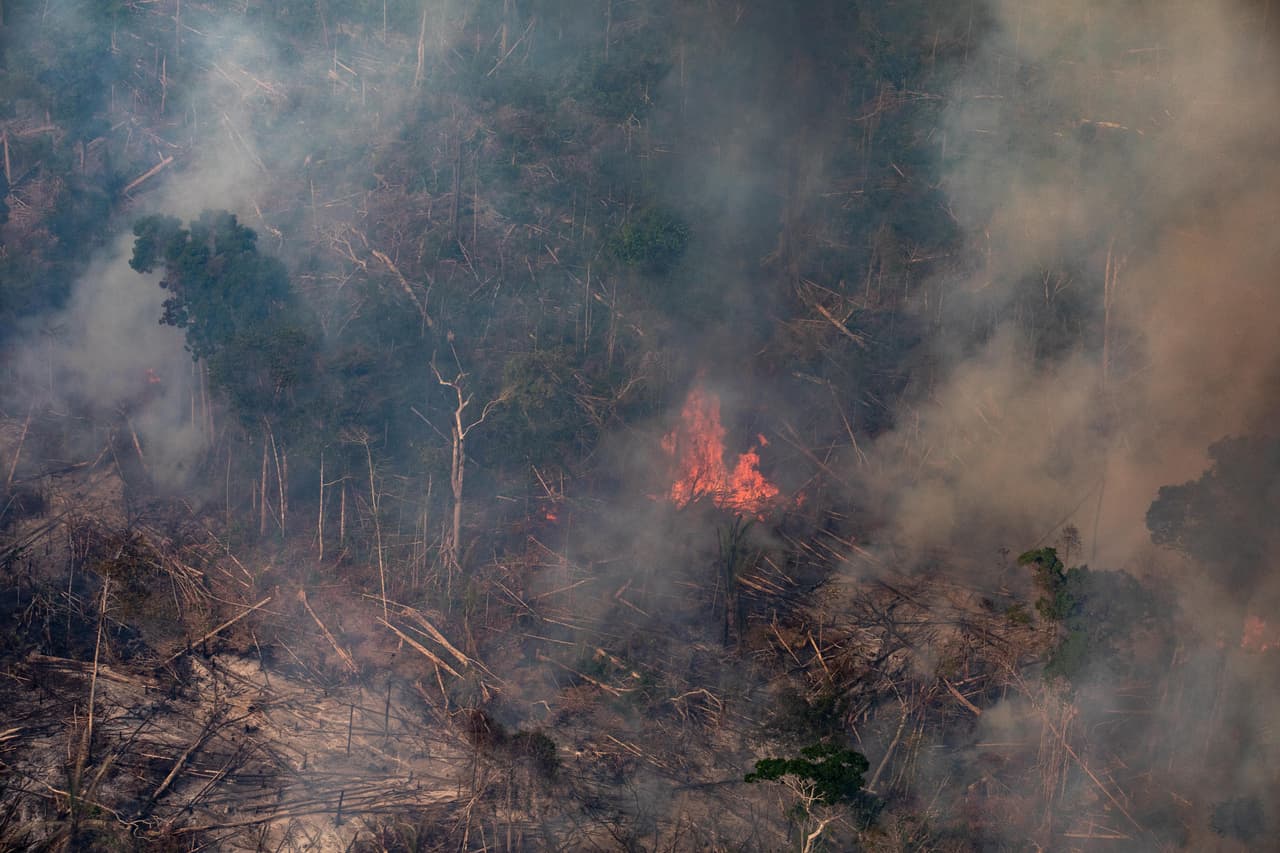En estas estadísticas no se cuentan, por ejemplo, los 
<a href="https://www.univision.com/noticias/medio-ambiente/fotos-satelitales-de-los-incendios-en-el-amazonas-la-tragedia-medioambiental-vista-desde-el-espacio-fotos">incendios en el Amazonas</a> ni los efectos devastadores del 
<a href="https://www.univision.com/temas/huracan-dorian">huracán Dorian</a>, que ocurrieron ya en el segundo semestre, con lo cual el informe de la segunda mitad del año promete tener un aumento significativo en el número de desplazados.