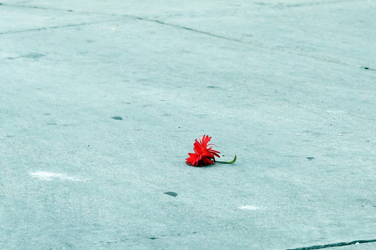 Secuencia de una desilusión: foto 21.