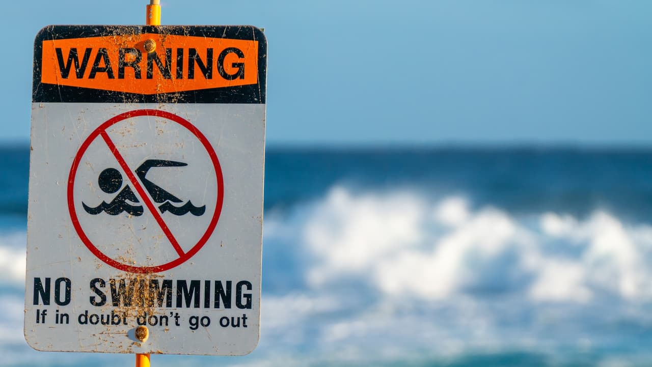 Emiten advertencia de no nadar en 17 playas de Nueva York por altos niveles de bacterias.