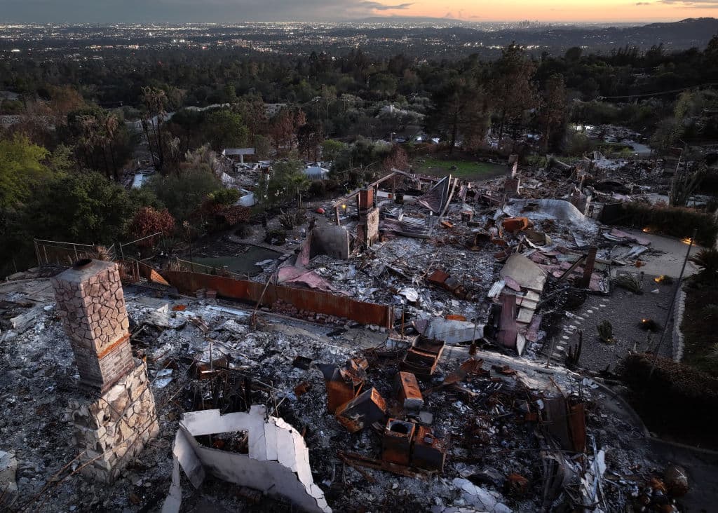 Recientes lluvias en la zona han contribuido a que los árboles sobrevivientes y la hierba silvestre llenen de un verde esperanza a la comunidad de Altadena, en California.