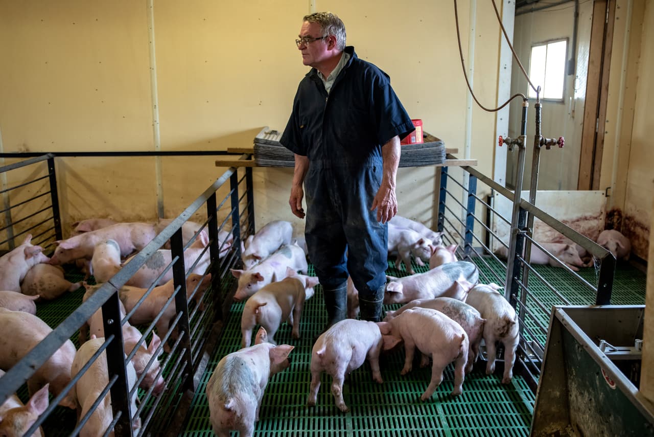 Willey recalled his experience with the North American Free Trade Agreement (NAFTA) in the 1990s. Like his colleague Todd Wiley, he thinks that trade agreements needed to be shaken up. For the moment he says he is willing to go along with what he describes as the common good. Nobody yet knows the real consequences of the commercial war and Wiley explains it by saying: "It will be a competition to see who blinks first".