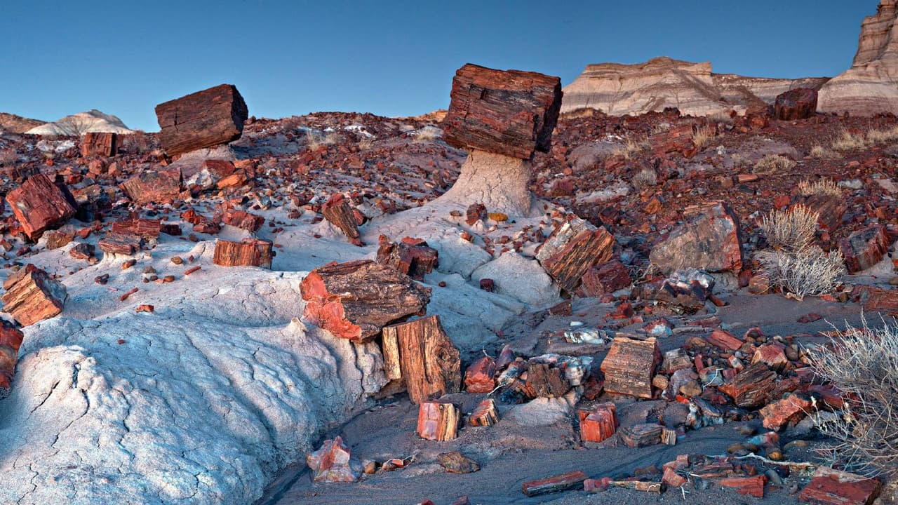 <b>Parque Nacional Bosque Petrificado</b>
<br>Es uno de los parques nacionales menos conocidos, con sólo 
<b>645,000 visitantes cada año</b>, pero es uno de los más espectaculares por sus formaciones rocosas que datan de más de 200 millones de años y cuentan un poco la historia no sólo de la zona, sino del planeta.