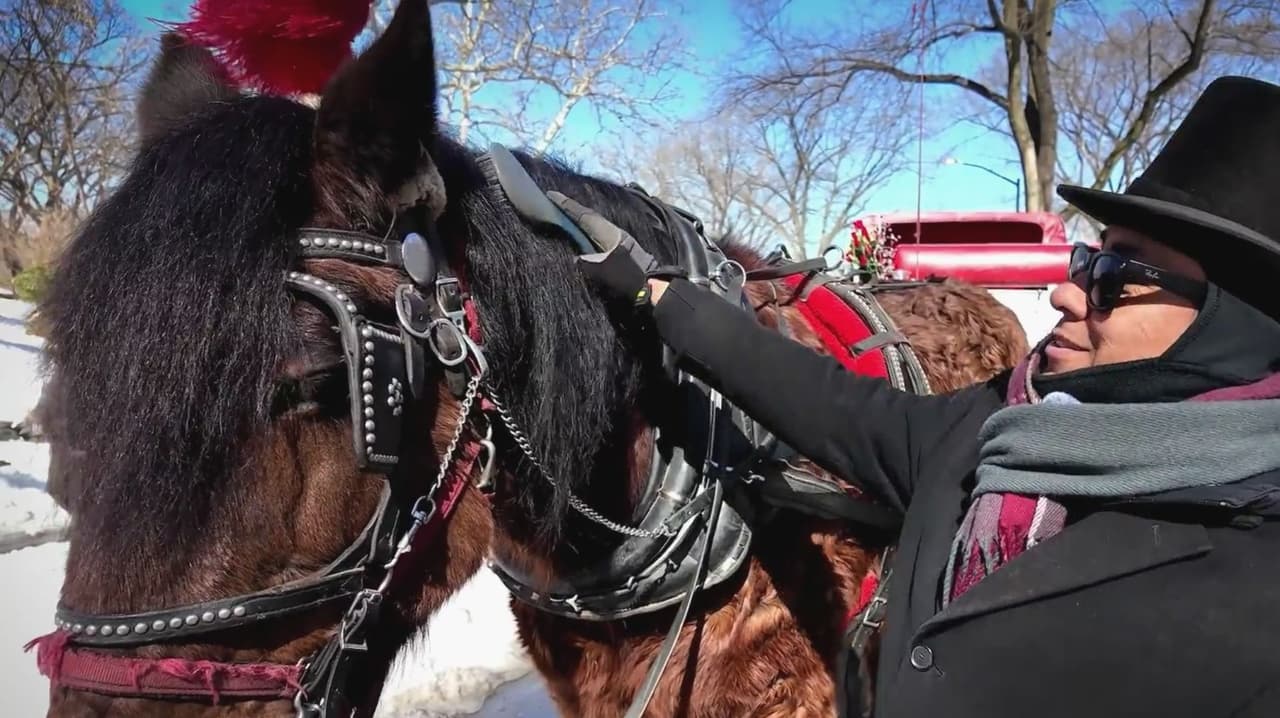 Mexicano logra su sueño americano y recorre a caballo y en carruaje las calles de NY