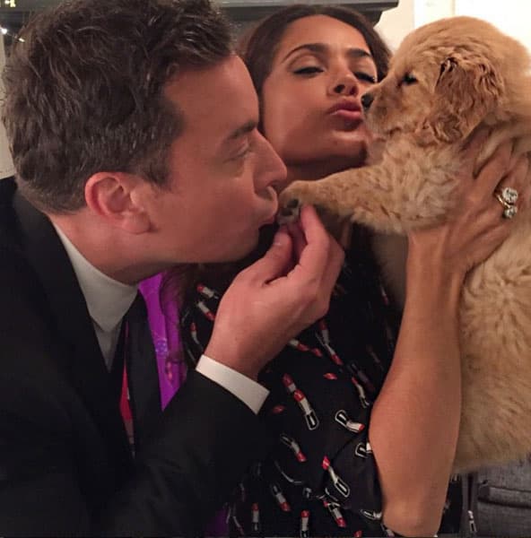 Jugando con cachorritos con Jimmy Fallon.