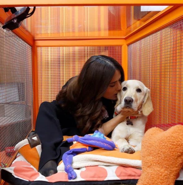 Siempre comparte fotos con animalitos, sean suyos o no.