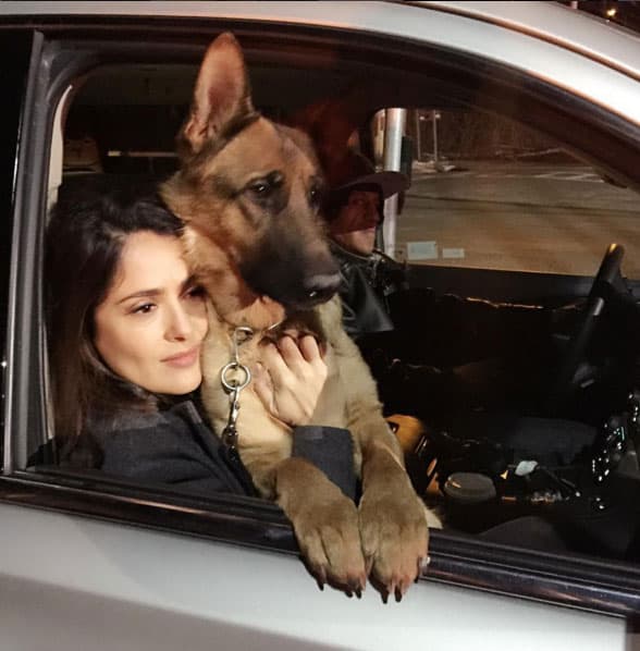 Salma anotó: "Hace una semana que no pongo nada ya que he estado de duelo por la muerte de mi perro Mozart" (no es el de la foto).