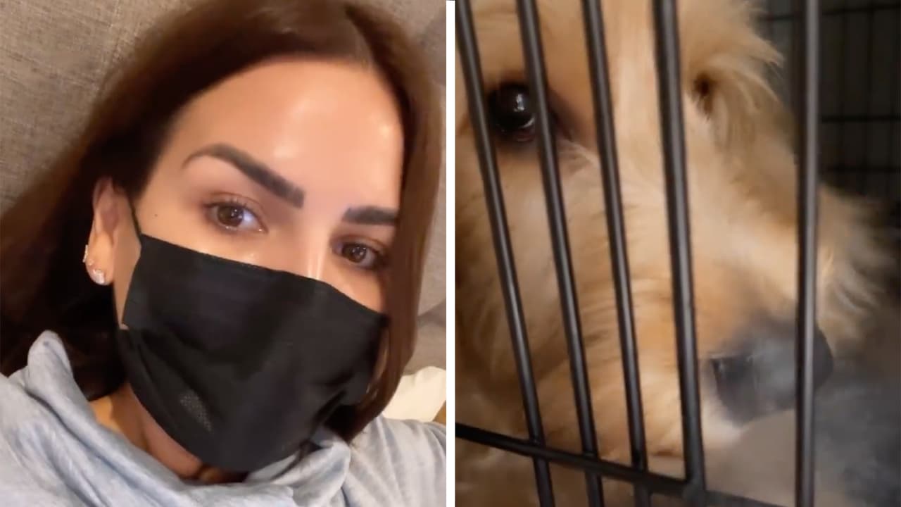 Karina Banda y su perro Bruno están enfermos en casa: espera no estar contagiada de covid