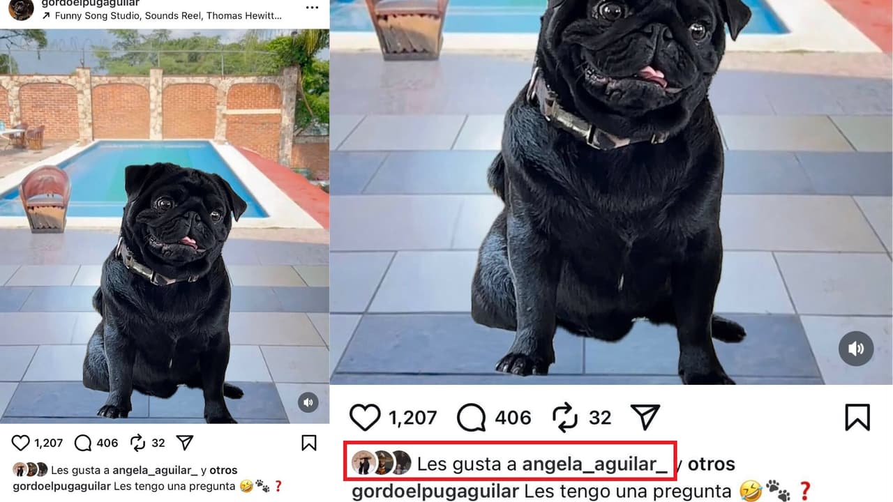 Esta es la polémica imagen que fue publicada desde la cuenta de 'El Gordo' en aparente burla a Emiliano Aguilar y a la que Ángela le dio 'me gusta'.