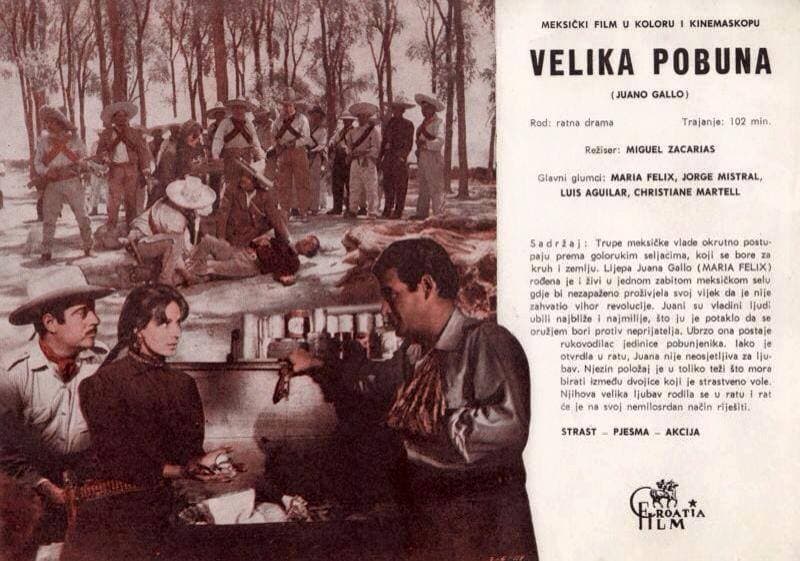 Su fama como actor llegó muy pronto a otros países, y sus filmes se exhibieron con éxito en lugares como Croacia y la antigua Yugoslavia.