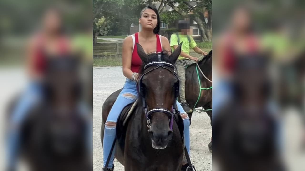Buscan al sospechoso de atropellar a una niña hispana que montaba a caballo en Gloucester