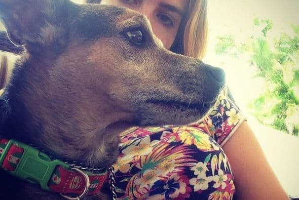 Tras la muerte de su perrito Romeo, Jessica Pérez y su padre quedaron con el corazón roto. Un amigo los invitó a ver los cachorros que había tenido su perra “sin compromiso”, pero Jessi se enamoró de su Poncho, quien desde ese entonces se ha convertido en su hijo.