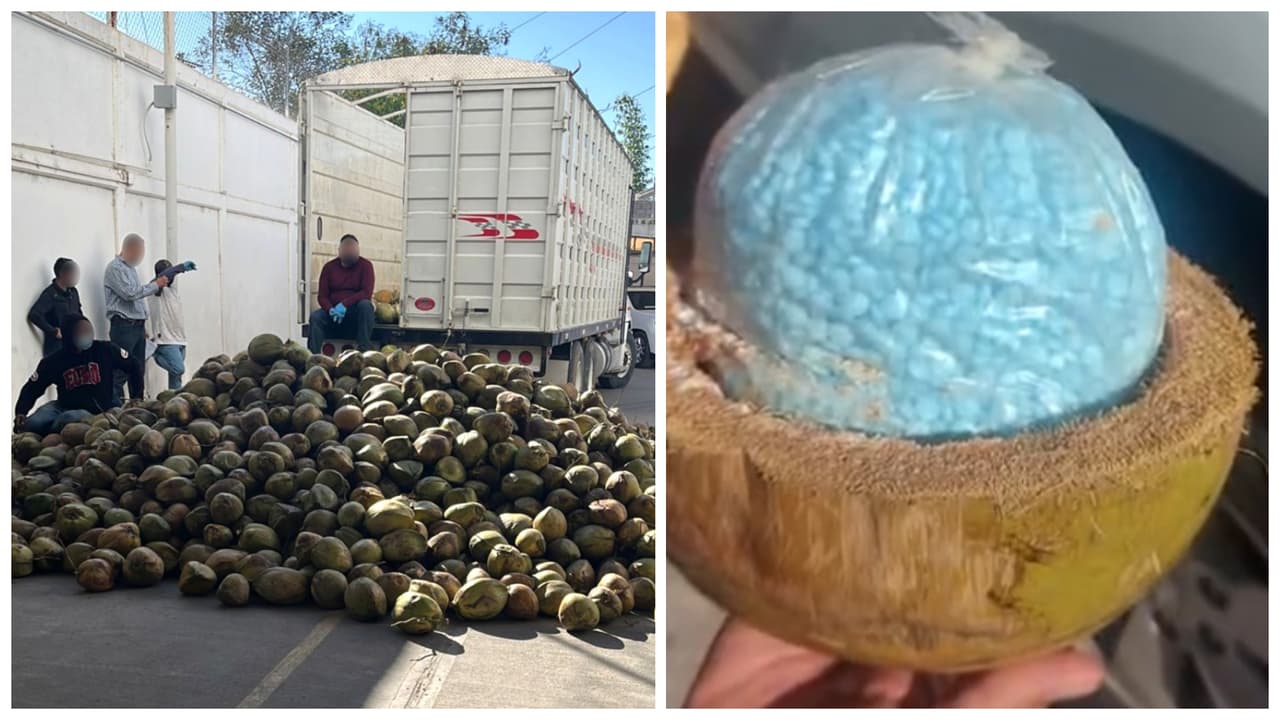 Decomisan 300 kilos de fentanilo escondidos en cocos, por un valor de 60 millones de dólares