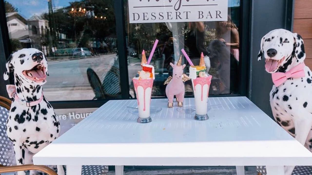 Un lugar en el que sus postres son como un sueño convertido en realidad es 
<a href="https://www.facebook.com/Unicornhouston/" target="_blank">Unicorn Magical Dessert Bar Houston</a> localizado en el corazón de Montrose. Aquí dos perritos posan ante unos deliciosos batidos.