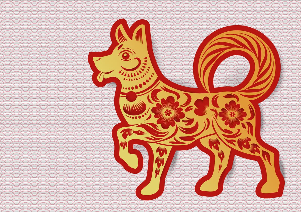 ¡Mes del perro en el año del perro! Este ciclo adquiere una gran relevancia puesto que estamos en el año del perro de tierra que comenzó el 15/16 de febrero del 2018 y se extenderá hasta el 4/5 de febrero del 2019, o sea, si eres un nativo de este signo chino estarás celebrando doblemente.
<br>