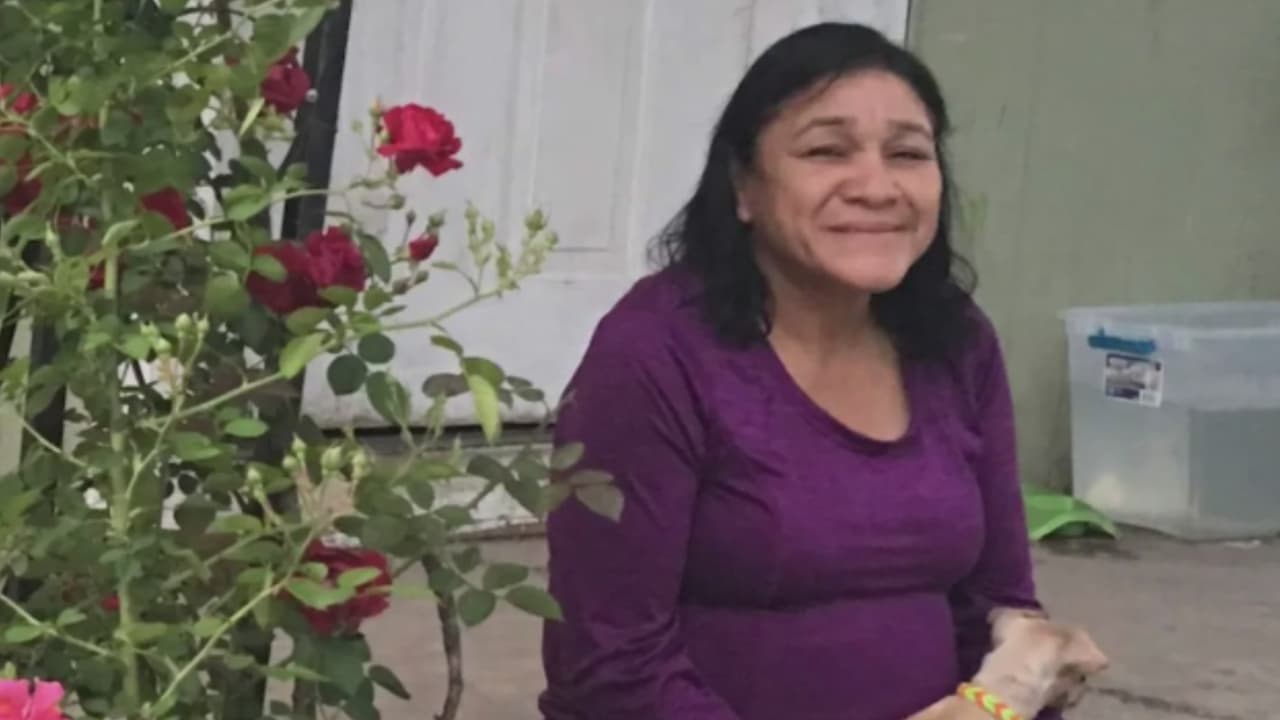 Mujer muere atropellada en San Antonio; familiares piden justicia