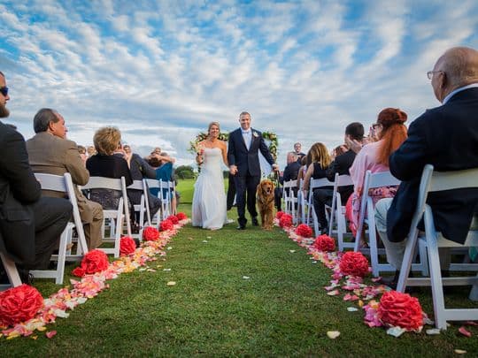 El padrino de boda fue su mejor amigo de cuatro patas