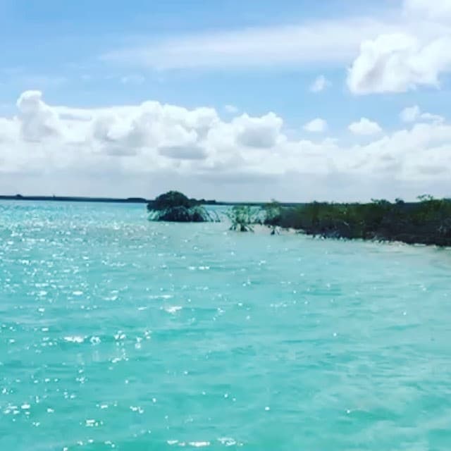 Por algunos días la locación de “Tres veces Ana” se trasladó al sur de México para grabar algunas escenas. Esta es la próxima novela donde la pareja será la protagónica.