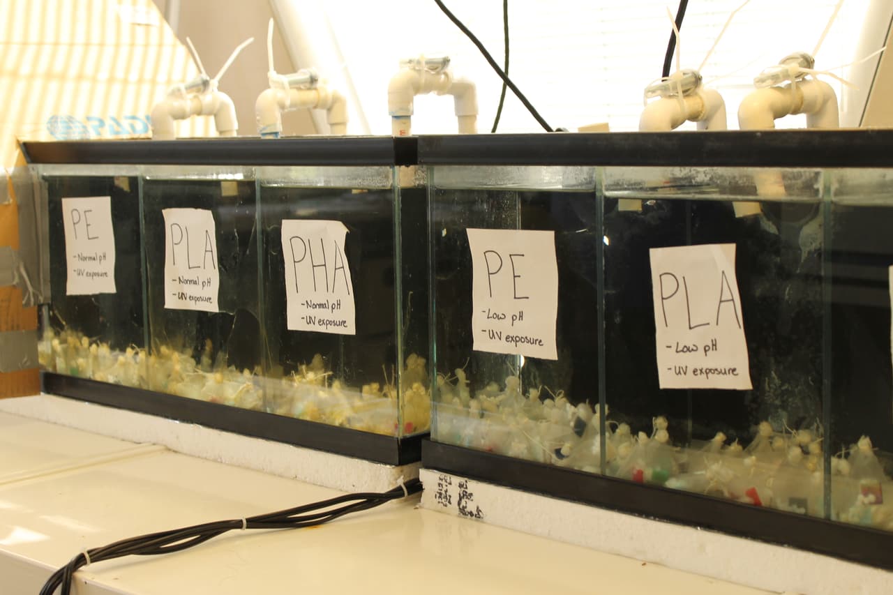 Investigaciones sobre las vida en el océano