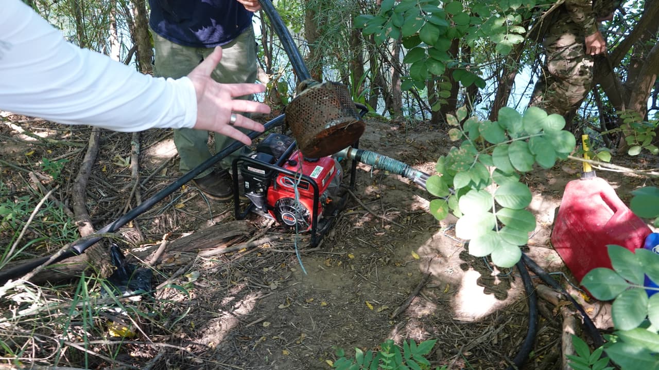En los bosques de California, donde aún siguen detectando campamentos clandestinos, los agricultores de los carteles suelen desviar el curso de los arroyuelos y disminuir su cauce con mangueras.