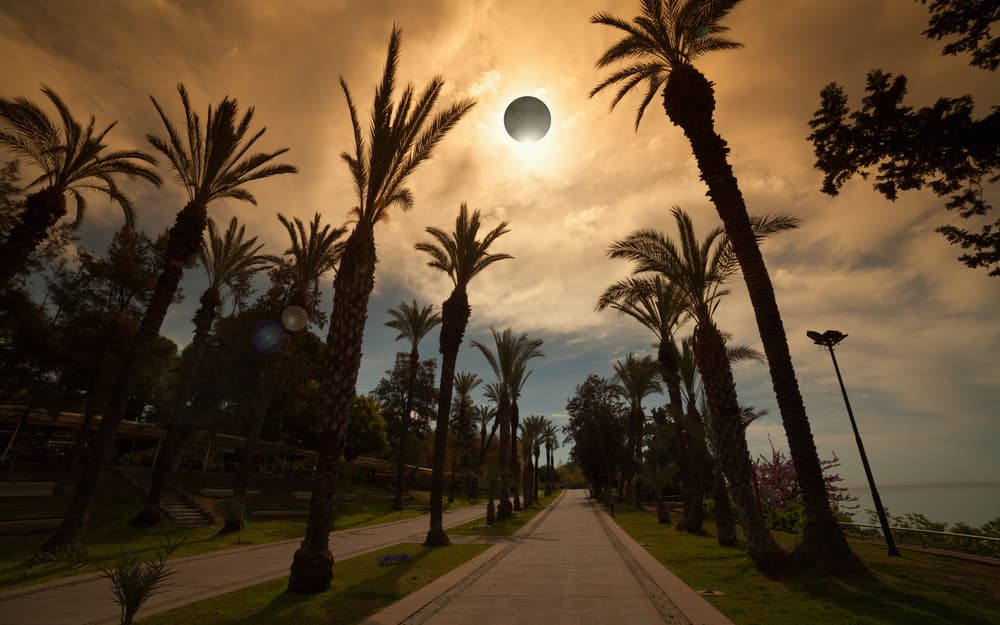 Los efectos del eclipse son más evidentes cuando se trata de un eclipse total que altera el ritmo de vida de los animales, los cuales confunden el día con la noche alterando sus biorritmos naturales, pero el eclipse del día once será parcial, no total.