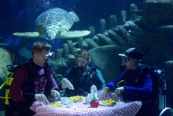 De acuerdo con Sea Life, esta campaña busca animar a las empresas y organizaciones a unirse y firmar el compromiso para que Londres sea la primera ´Sostenible Fish City´.