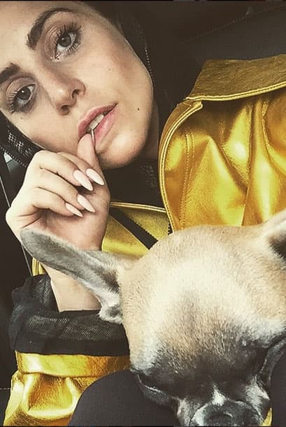 Lady Gaga es otra de las cantantes que ha adoptado como sus hijos a unos simpáticos perritos.