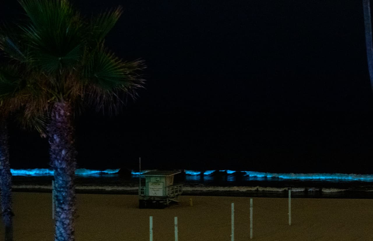 <b>¿Cuándo ocurren las mareas rojas?</b>
<br>
<br>Aunque no se puede predecir con exactitud cuándo ocurren, según el UCSD, "la mayoría de las mareas rojas en California ocurren entre los principios de primavera (febrero, marzo)
<b>a finales del verano (agosto, septiembre)</b>".