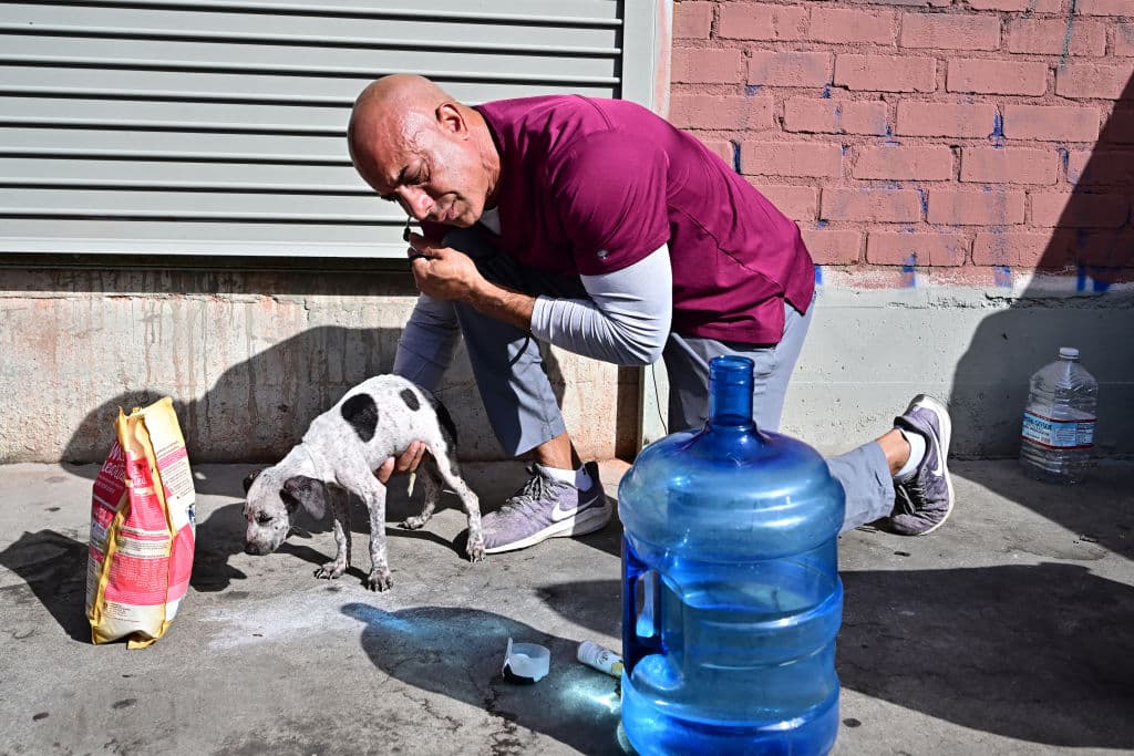 El veterinario Kwane Stewart, residente en San Diego, auscultó al mejor amigo de Tyrone Richards, que comenzó un tratamiento para desparasitarlo.