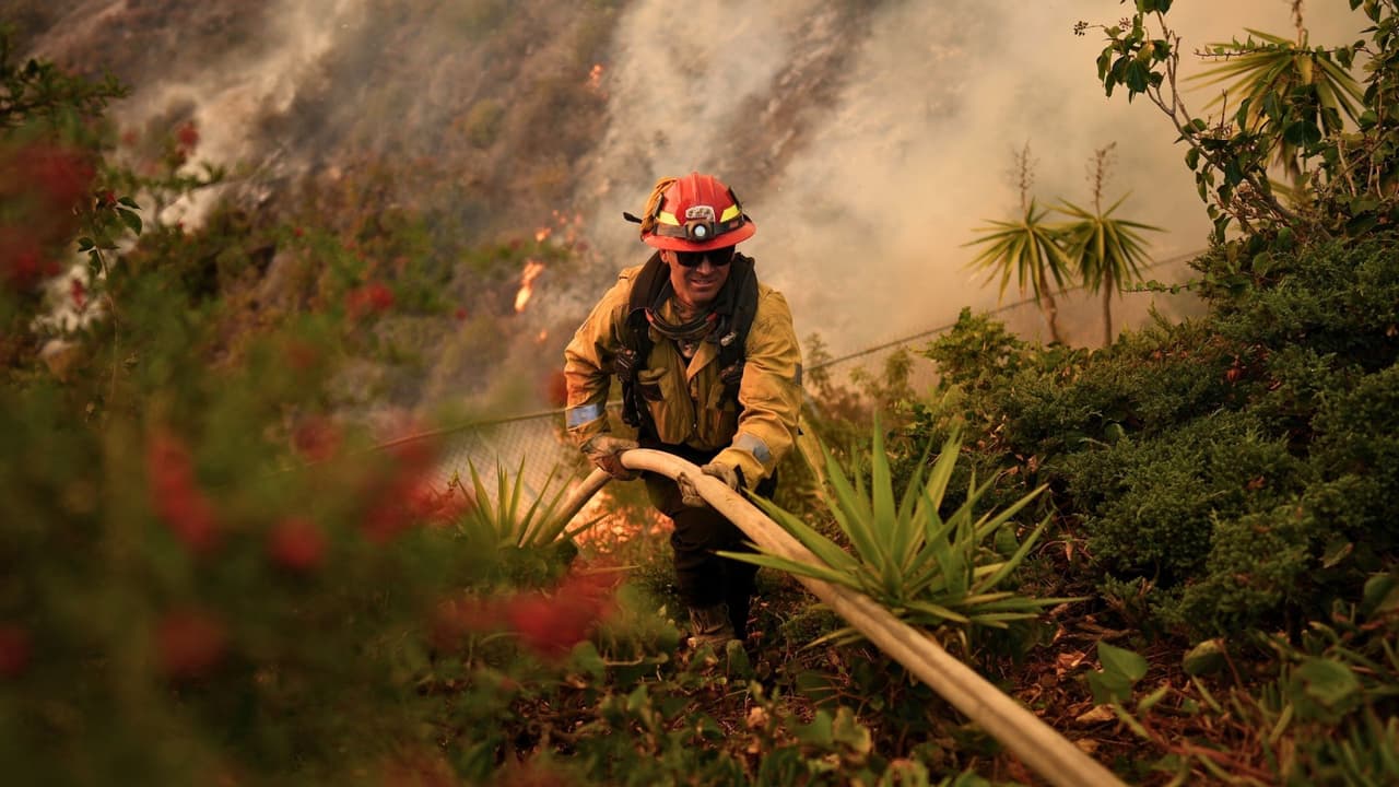 Esta misión se coordina bajo la 
<a href="https://www.emacweb.org/" target="_blank">Asistencia Mutua para la Gestión de Emergencias (EMAC)</a>, 
<b>un sistema interestatal que permite a los estados compartir recursos y garantizar la protección de los trabajadores desplegados</b>. Este acuerdo también asegura el reembolso de costos relacionados con la misión, facilitando una respuesta rápida y eficiente.