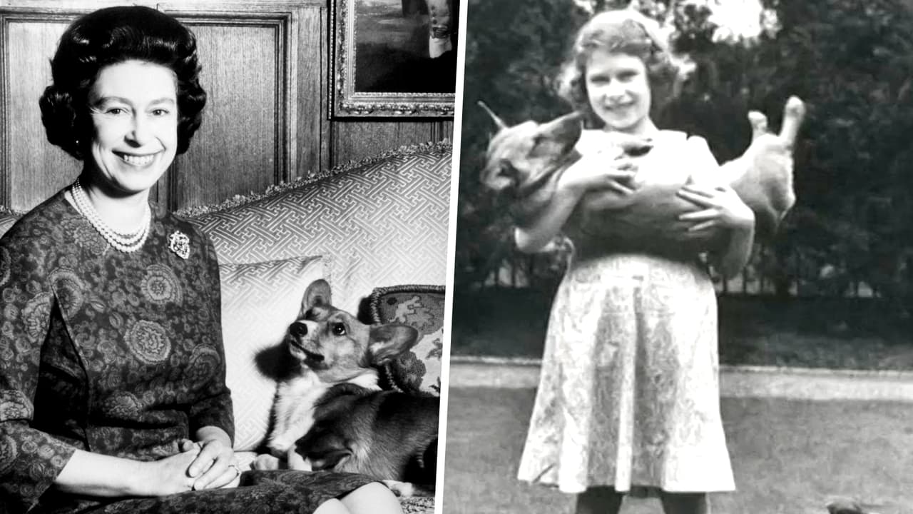 "Perritos de patas cortas y mal temperamento": el amor de la reina Isabel II por sus mascotas