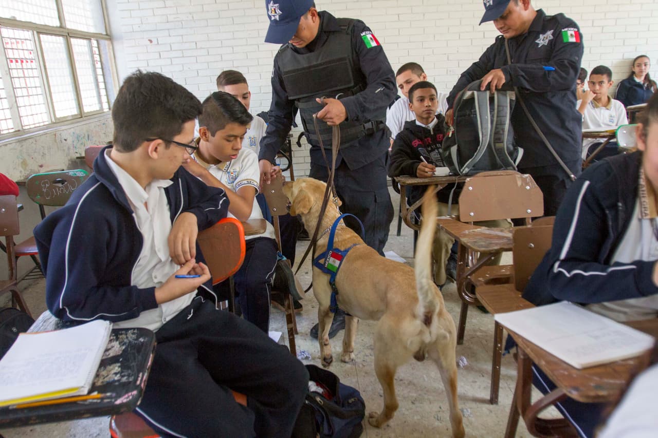 Cuando las armas van a la escuela: un reflejo de la violencia en México
