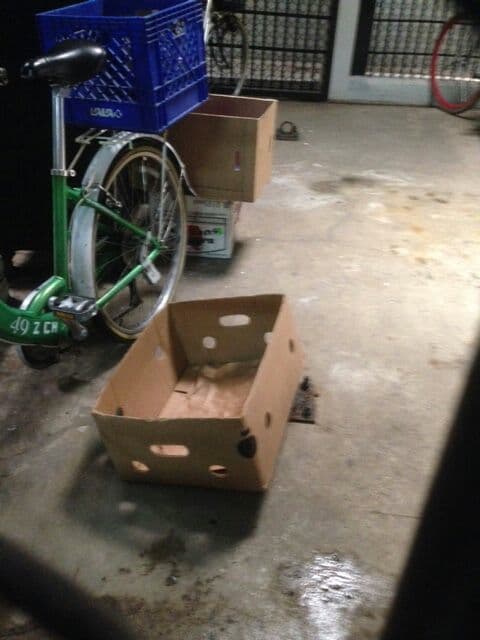 "Un recinto para animales usado como bodega".