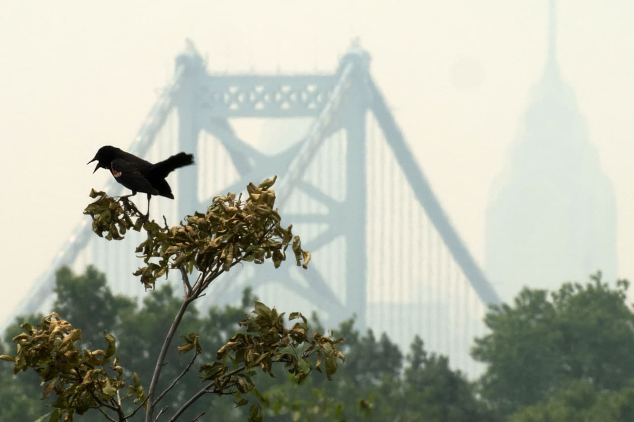 Alerta por condición “peligrosa” del aire en Filadelfia: segundo día consecutivo con una capa de humo en los cielos
