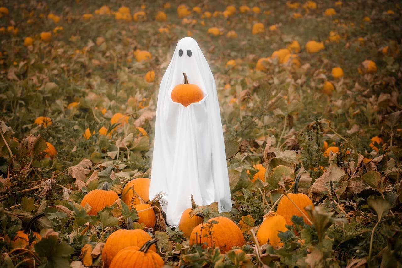 Encuentra más destinos e información local, 
<a href="https://www.univision.com/local/north-carolina-wuvc/localisimo"><b>aquí</b></a>.